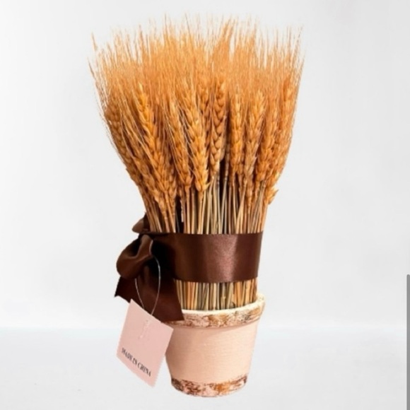 NWT- Bundle of Wheat in Distressed
Ceramic Planter. Size: 11"H - Picture 4 of 8